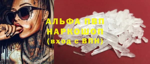 стаф Пересвет
