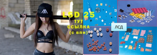стаф Пересвет