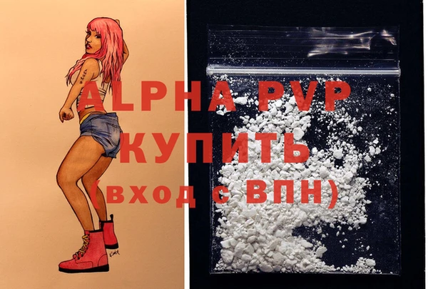 стаф Пересвет