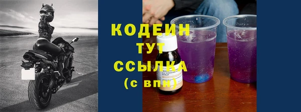 стаф Пересвет