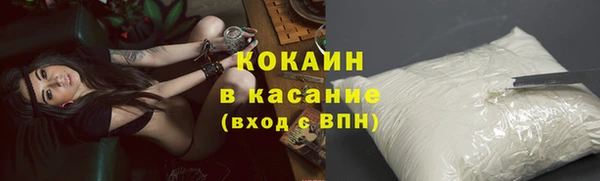 стаф Пересвет