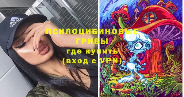 соль курить ск Переславль-Залесский