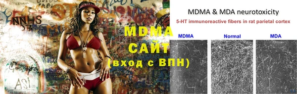 стаф Пересвет
