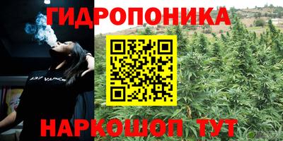 марки nbome Кингисепп