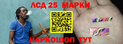 трава Бийск