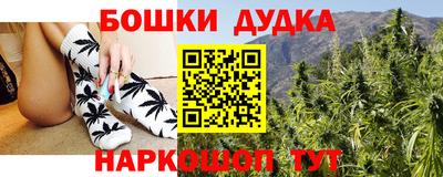 индика Кинель