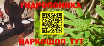 трава Бийск