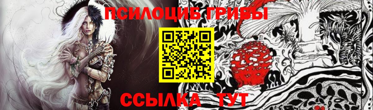 Галлюциногенные грибы Psilocybe Татарск