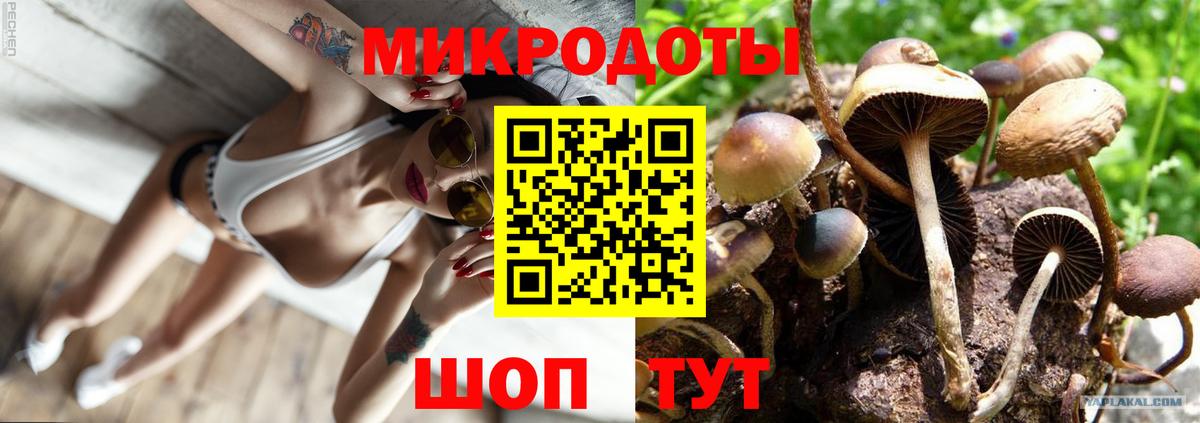 Псилоцибиновые грибы ЛСД  Галлюциногенные грибы GOLDEN TEACHER  Татарск  Вход с VPN 